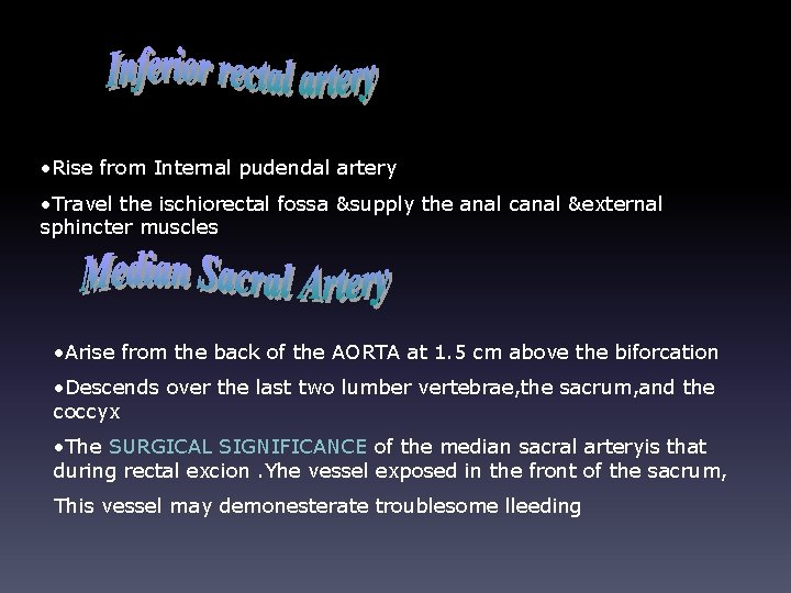  • Rise from Internal pudendal artery • Travel the ischiorectal fossa &supply the