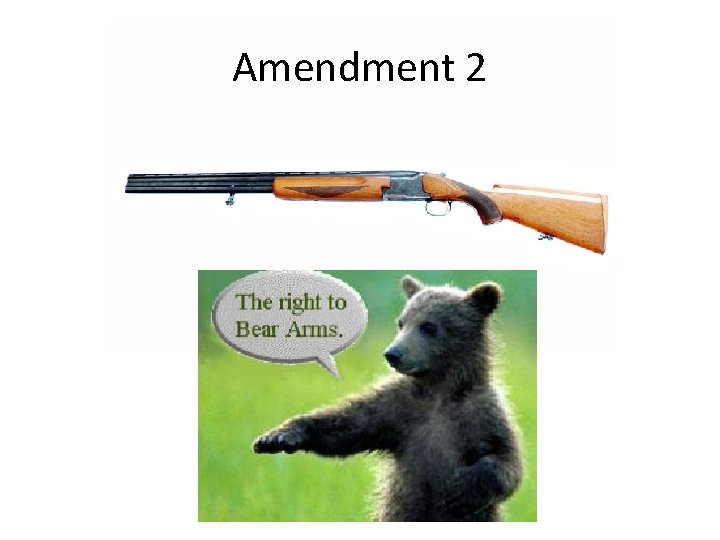 Amendment 2 
