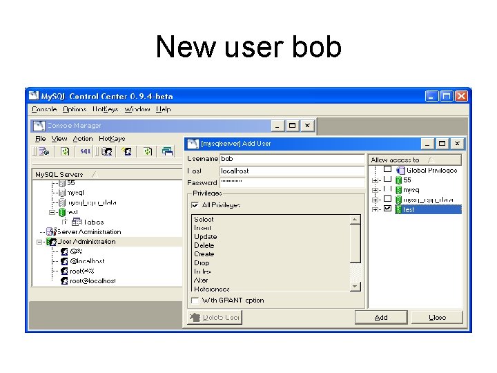 New user bob 