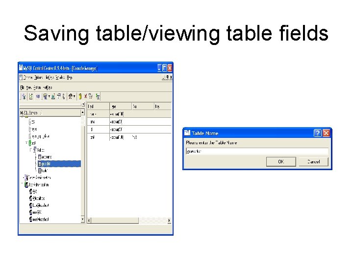 Saving table/viewing table fields 
