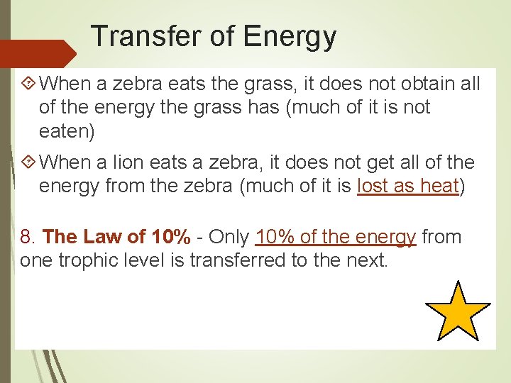 Transfer of Energy When a zebra eats the grass, it does not obtain all