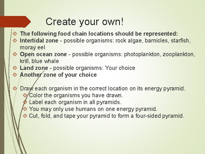 Create your own! The following food chain locations should be represented: Intertidal zone -