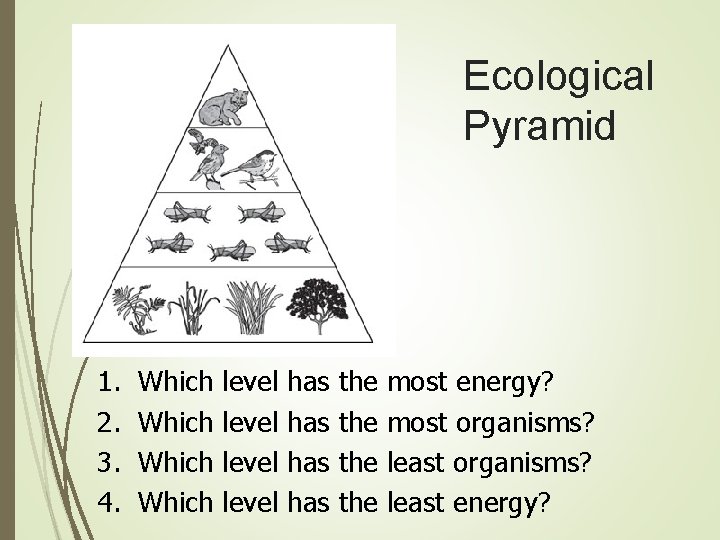 Ecological Pyramid 1. 2. 3. 4. Which level has has the the most energy?