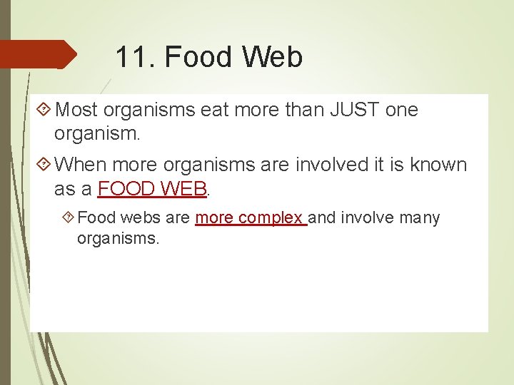 11. Food Web Most organisms eat more than JUST one organism. When more organisms