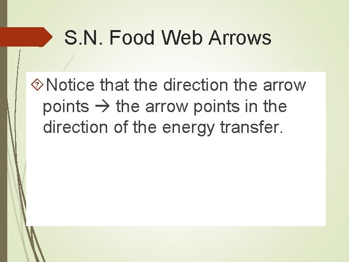 S. N. Food Web Arrows Notice that the direction the arrow points in the