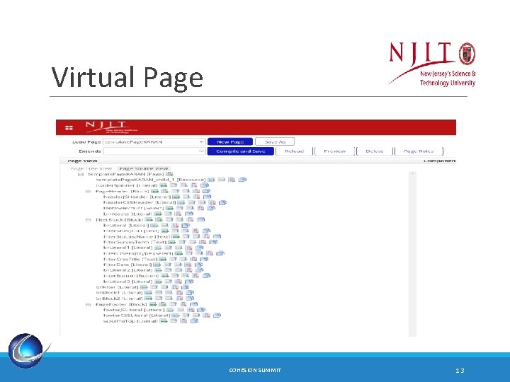 Virtual Page COHESION SUMMIT 13 