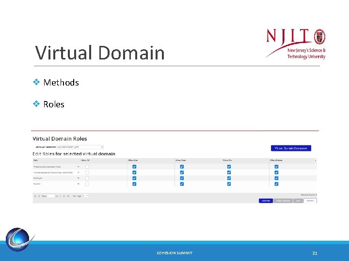 Virtual Domain ❖ Methods ❖ Roles COHESION SUMMIT 21 