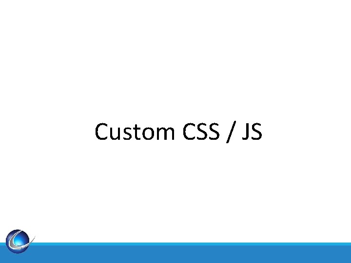 Custom CSS / JS 