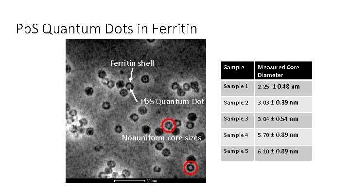 Pb. S Quantum Dots in Ferritin shell Pb. S Quantum Dot Nonuniform core sizes