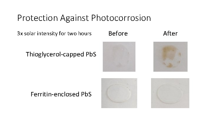 Protection Against Photocorrosion 3 x solar intensity for two hours Thioglycerol-capped Pb. S Ferritin-enclosed