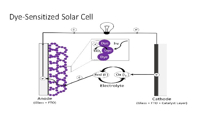 Dye-Sensitized Solar Cell 