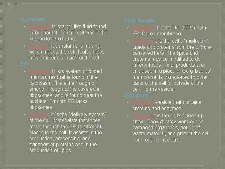 � � Cytoplasm • Structure: It is a gel-like fluid found throughout the entire