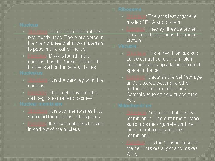 � � Nucleus • Structure: Large organelle that has two membranes. There are pores
