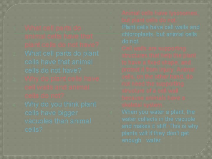 1. 2. 3. 4. What cell parts do animal cells have that plant cells