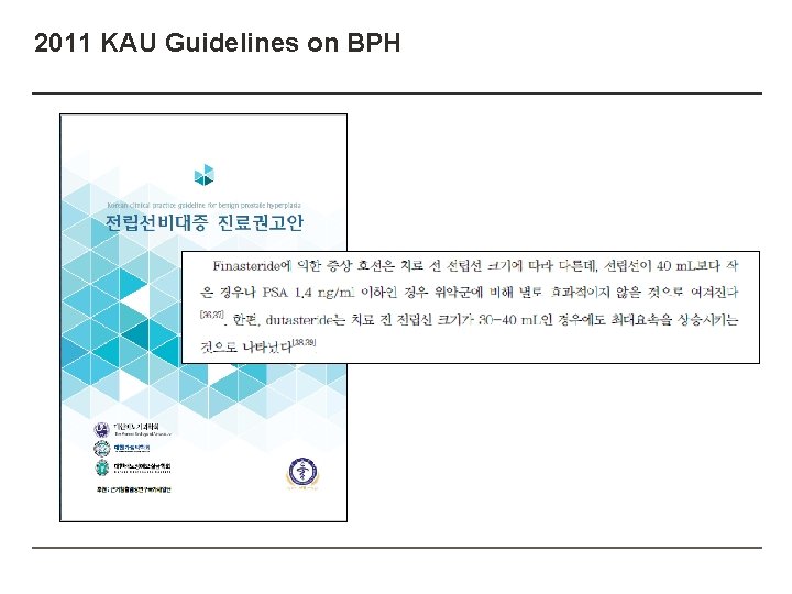 2011 KAU Guidelines on BPH 