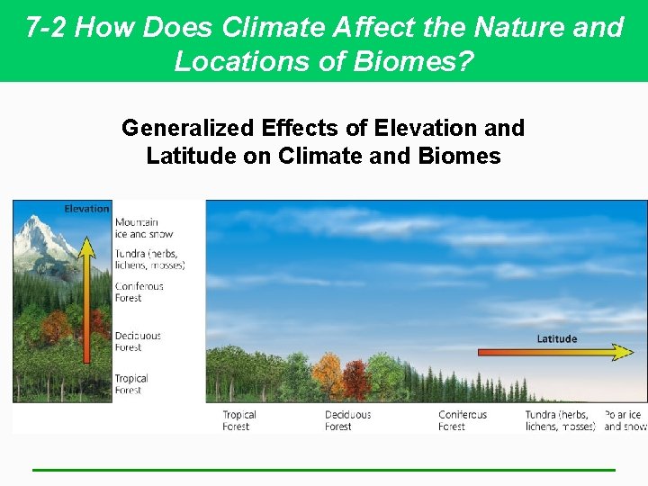 7 -2 How Does Climate Affect the Nature and Locations of Biomes? Generalized Effects