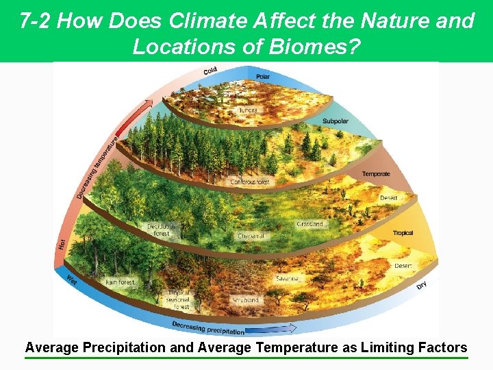 7 -2 How Does Climate Affect the Nature and Locations of Biomes? Average Precipitation