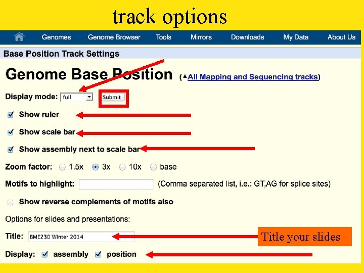 track options Title your slides 