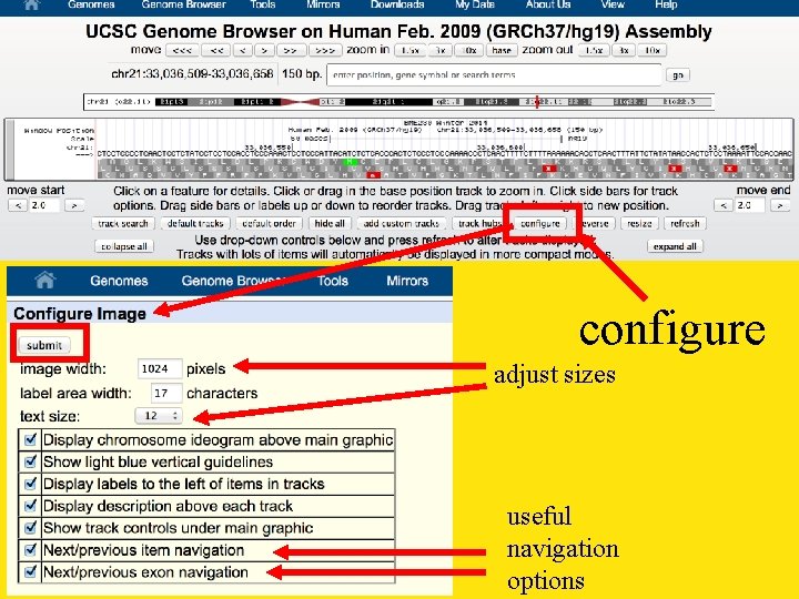 configure adjust sizes useful navigation options 