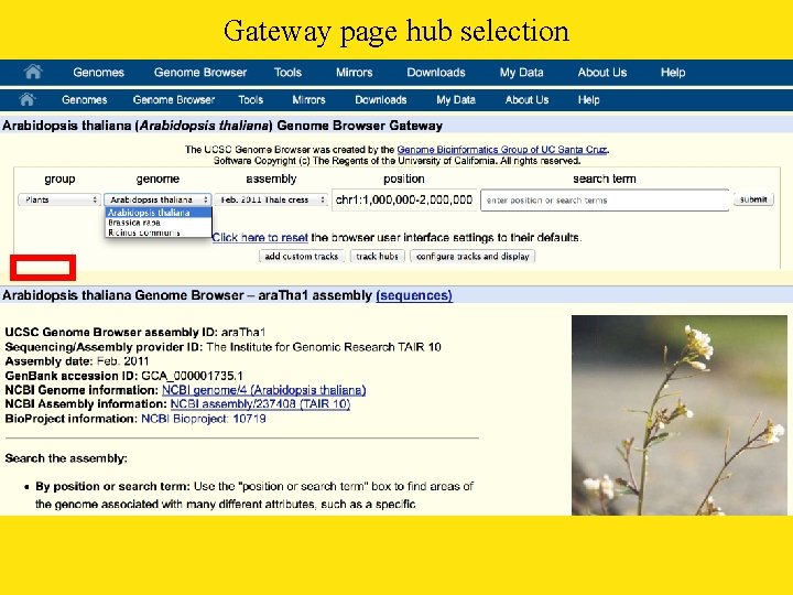 Gateway page hub selection 