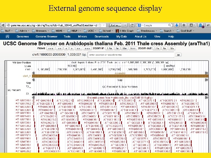 External genome sequence display 