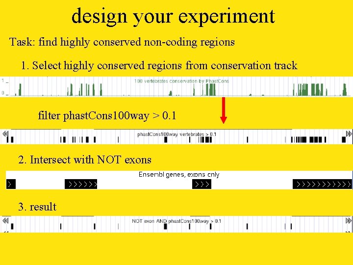 design your experiment Task: find highly conserved non-coding regions 1. Select highly conserved regions