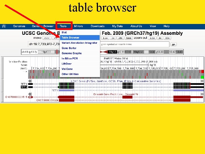 table browser 