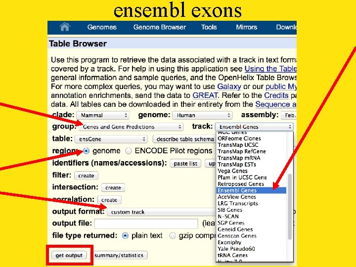 ensembl exons 