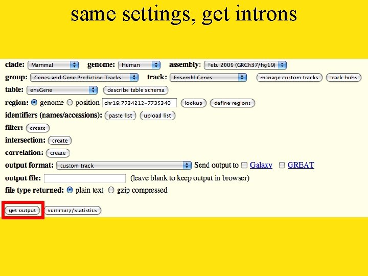 same settings, get introns 