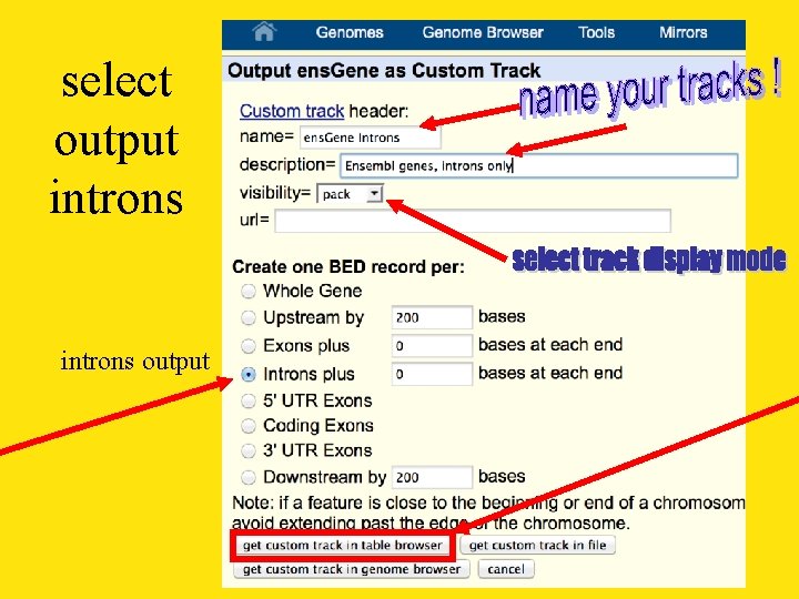 select output introns output 