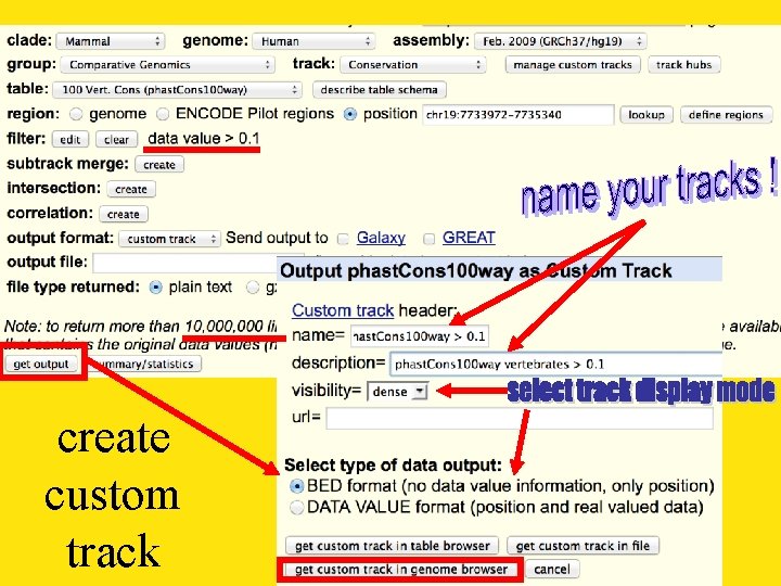 create custom track 