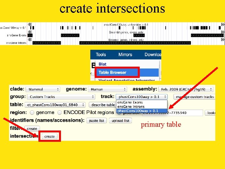 create intersections primary table 