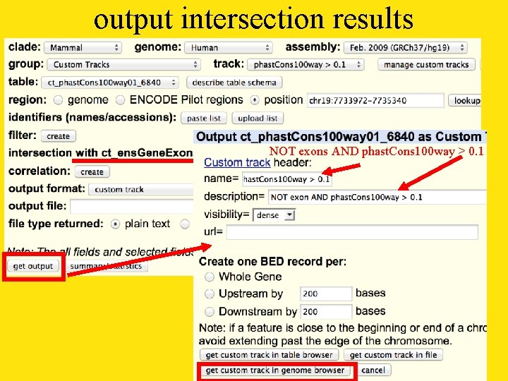 output intersection results NOT exons AND phast. Cons 100 way > 0. 1 