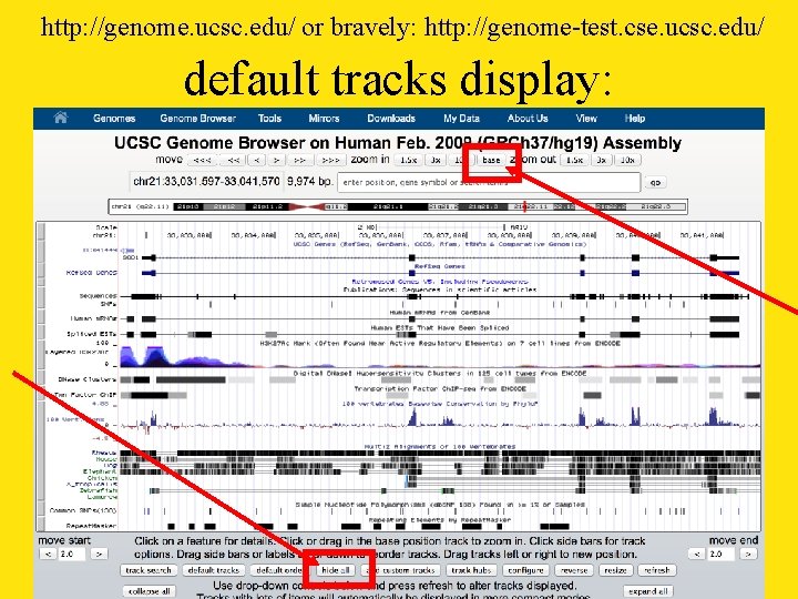 http: //genome. ucsc. edu/ or bravely: http: //genome-test. cse. ucsc. edu/ default tracks display: