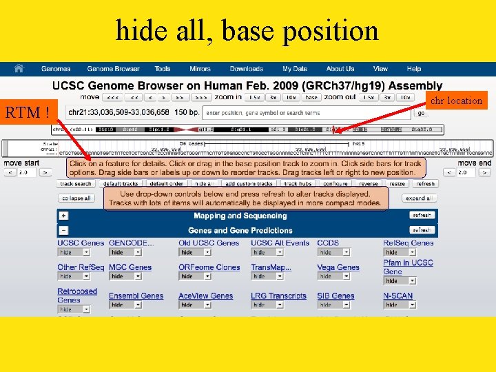hide all, base position RTM ! chr location 