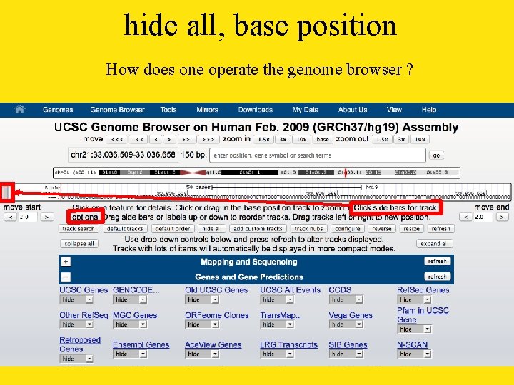hide all, base position How does one operate the genome browser ? 