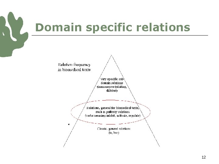 Domain specific relations 12 