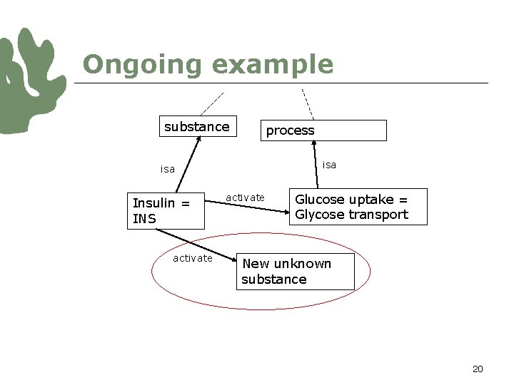 Ongoing example substance process isa Insulin = INS activate Glucose uptake = Glycose transport