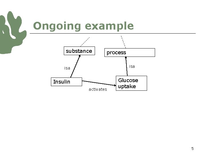 Ongoing example substance process isa Insulin activates Glucose uptake 5 