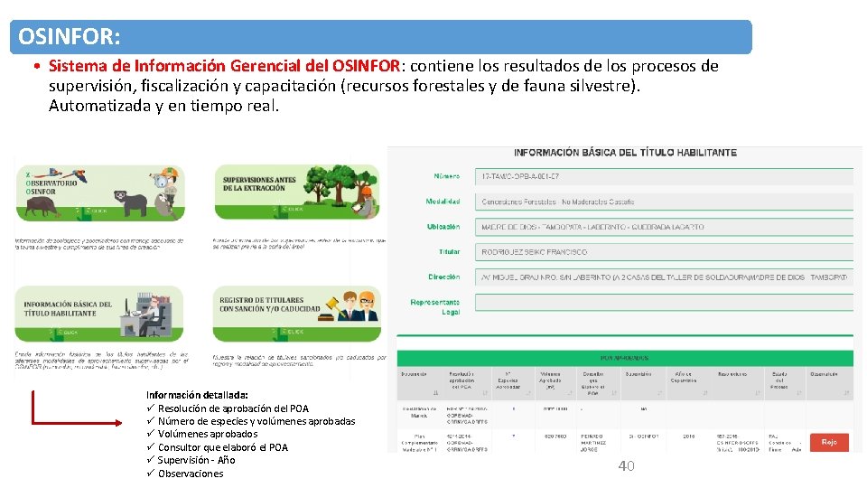 OSINFOR: • Sistema de Información Gerencial del OSINFOR: contiene los resultados de los procesos