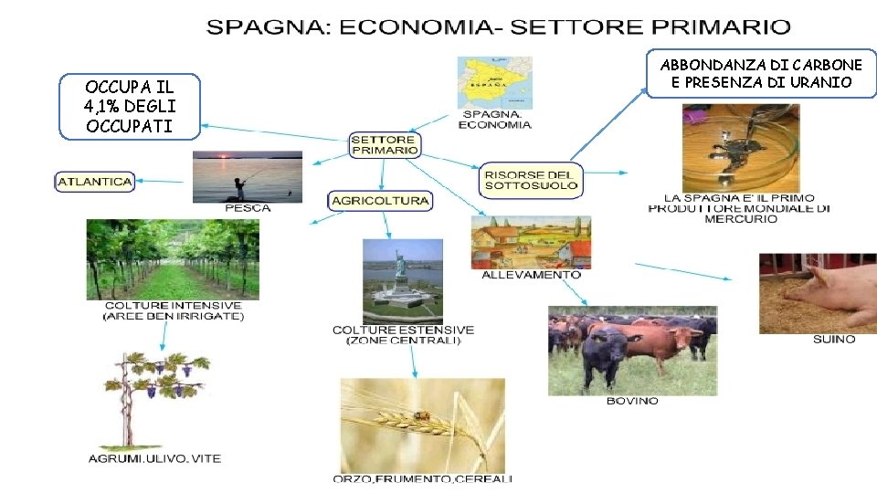 OCCUPA IL 4, 1% DEGLI OCCUPATI ABBONDANZA DI CARBONE E PRESENZA DI URANIO 