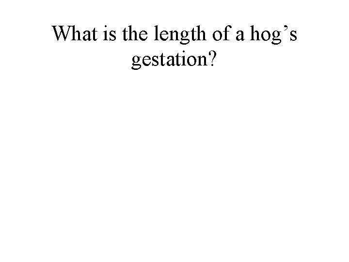 What is the length of a hog’s gestation? 
