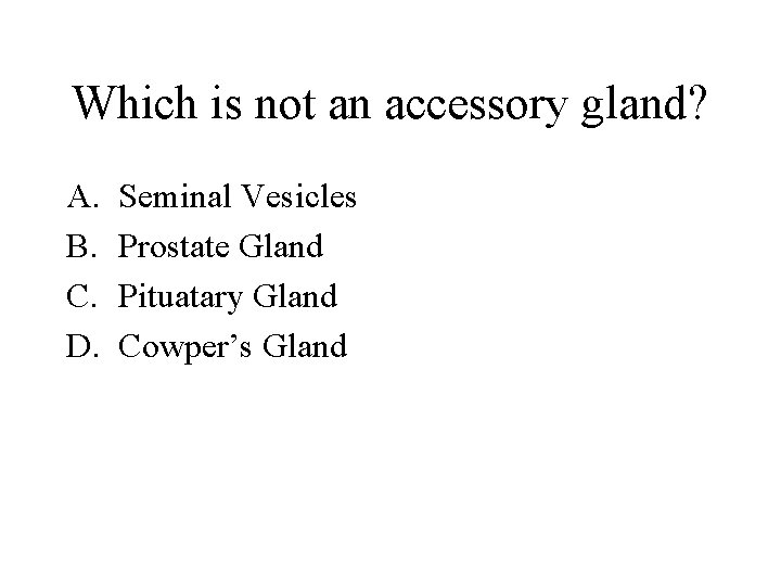 Which is not an accessory gland? A. B. C. D. Seminal Vesicles Prostate Gland