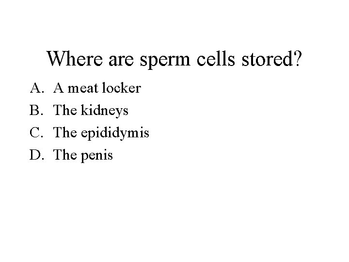 Where are sperm cells stored? A. B. C. D. A meat locker The kidneys
