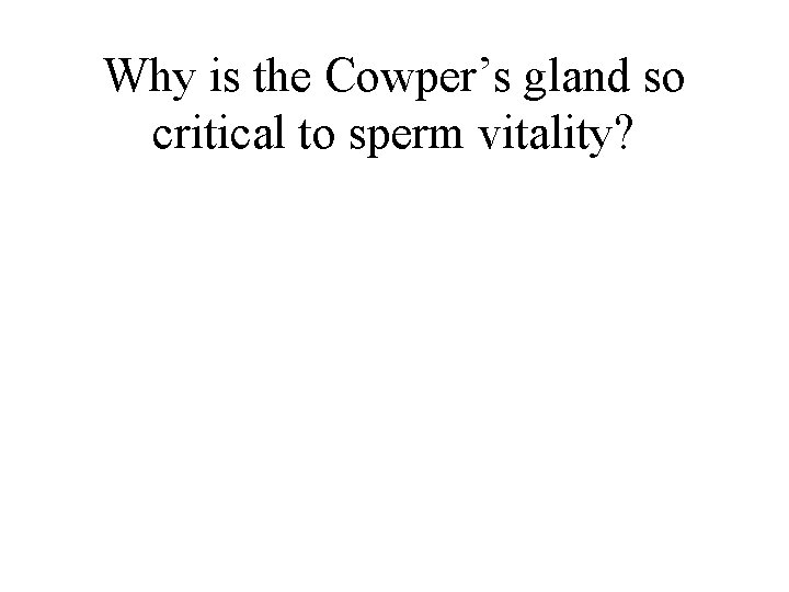 Why is the Cowper’s gland so critical to sperm vitality? 