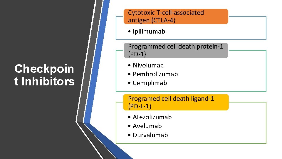 Cytotoxic T-cell-associated antigen (CTLA-4) • Ipilimumab Programmed cell death protein-1 (PD-1) Checkpoin t Inhibitors