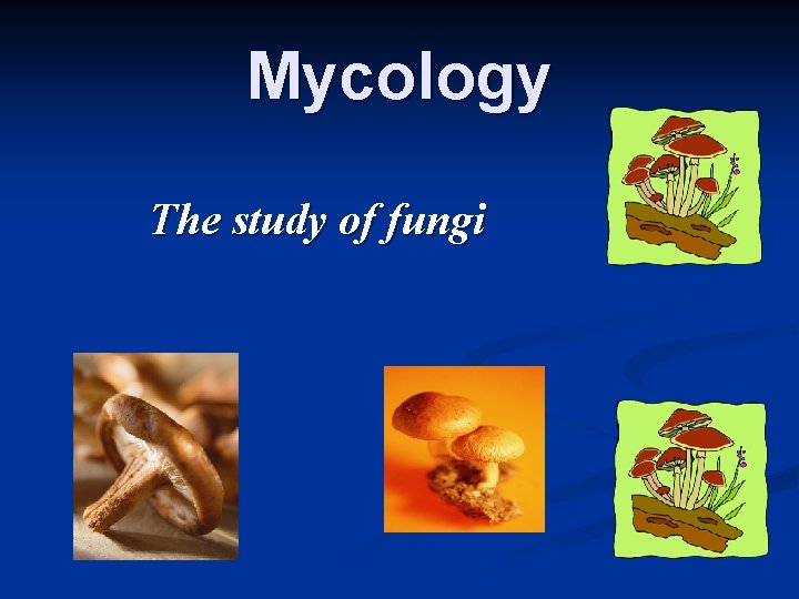 Mycology The study of fungi 