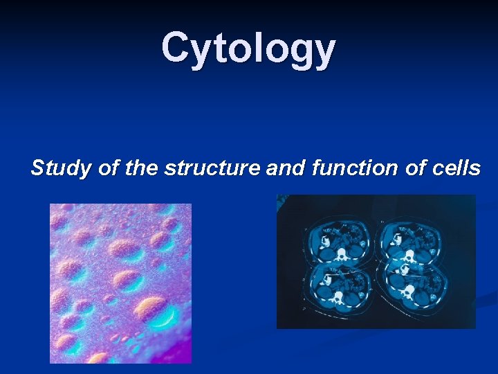 Cytology Study of the structure and function of cells 