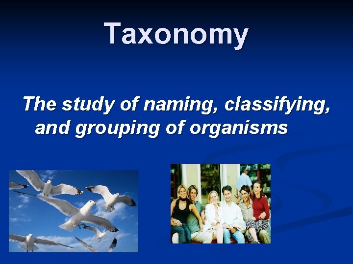 Taxonomy The study of naming, classifying, and grouping of organisms 