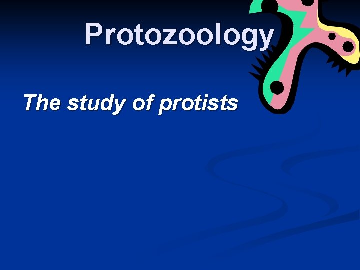 Protozoology The study of protists 